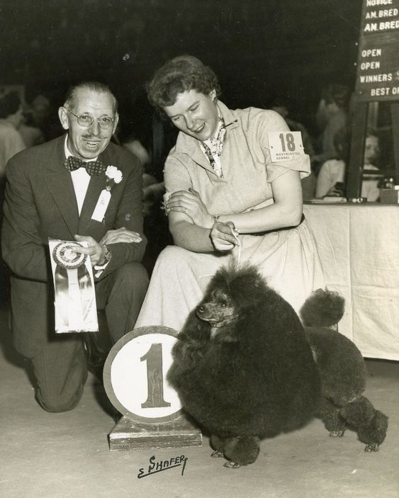 Editorial: January 27, 2023